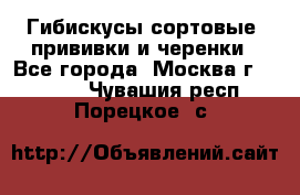 Гибискусы сортовые, прививки и черенки - Все города, Москва г.  »    . Чувашия респ.,Порецкое. с.